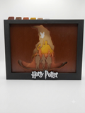 Harry Potter Shadow Box